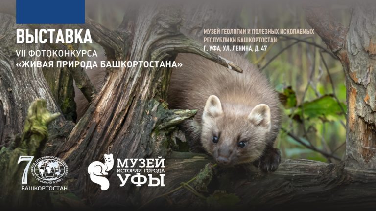 Подробнее о статье В Музее геологии открылась передвижная выставка фотоконкурса «Живая природа Башкортостана»