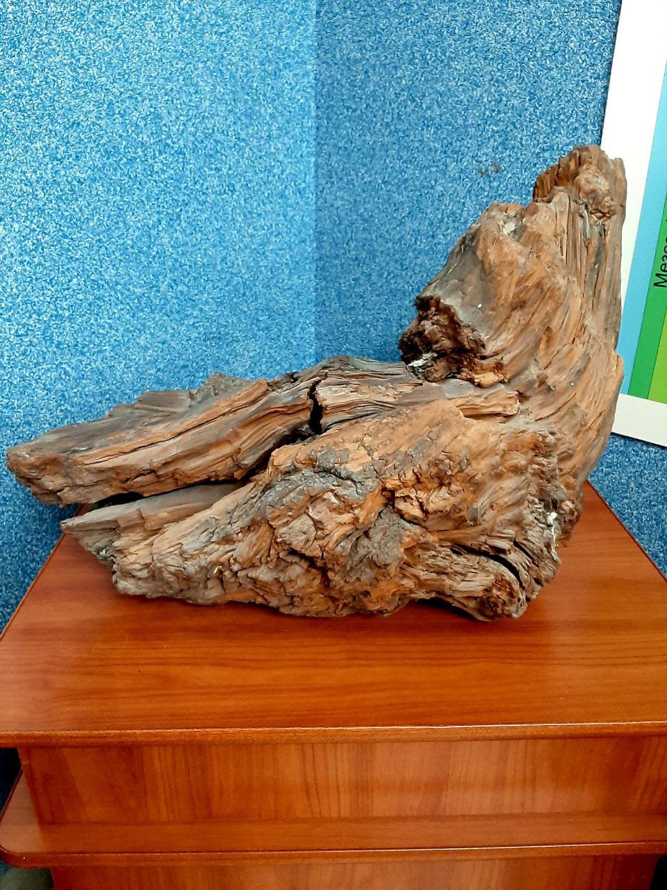 Вы сейчас просматриваете Лигнит