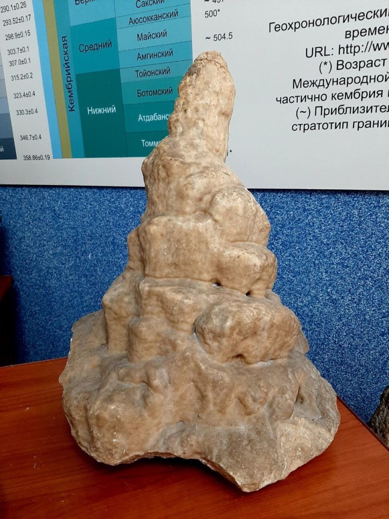 Подробнее о статье Сталагмит